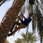 Charlie Creech photo of guy climbing a tree